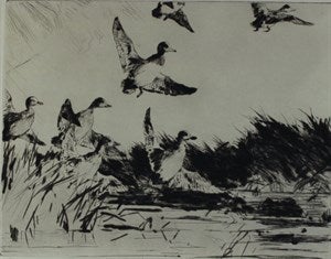 Image description is not available for DU1946.253